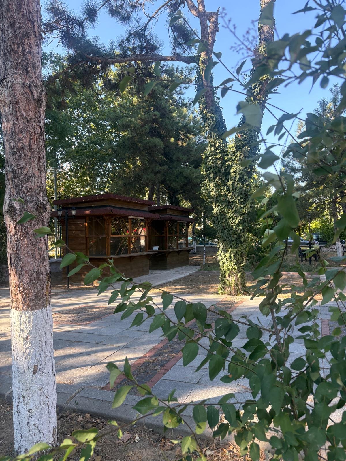 Edirne Gastronomi Akademisi Resimleri
